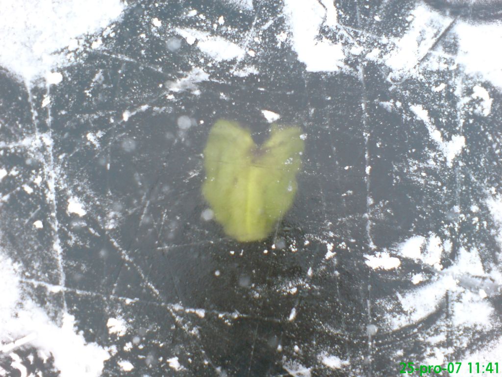 brusleni004.jpg