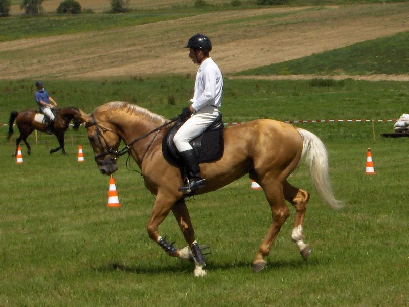 kone02.jpg